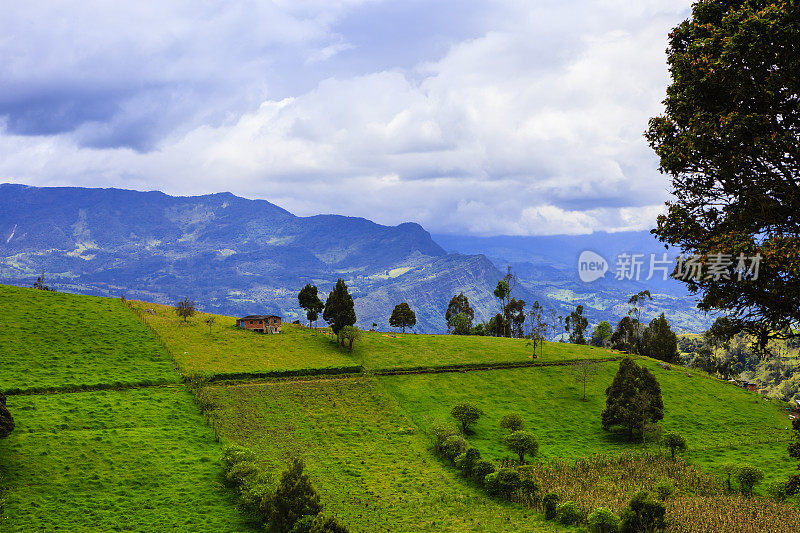 Colombia, South America - The Pristine Rural Facet Of The Andes Mountains At Over 7,000 Feet Above Mean Sea Level In The Morning Sunlight.